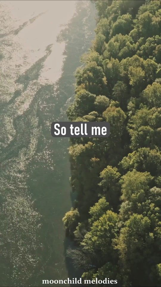TikTok video thumbnail by moonchildmelodies