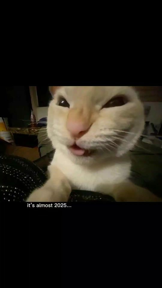 TikTok video thumbnail by annoying_avery
