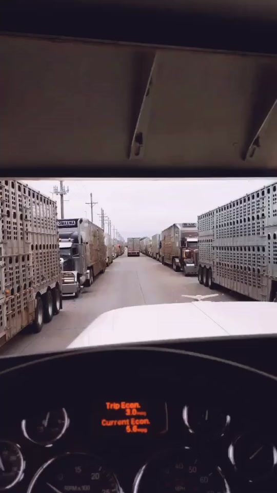 TikTok video thumbnail by bryceleeg
