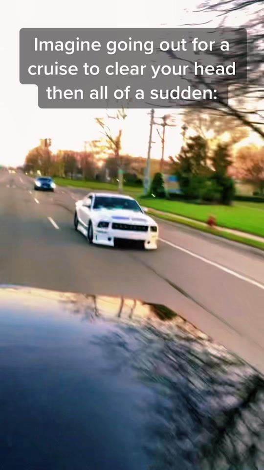 TikTok video thumbnail by whiteghost.wg