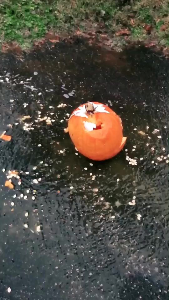 TikTok video thumbnail by kacie.gregory
