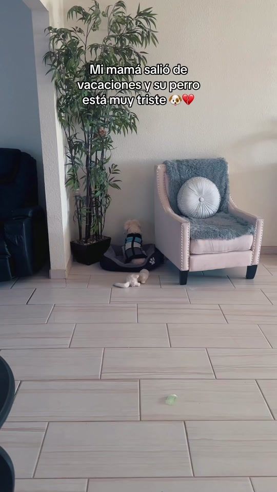TikTok video thumbnail by yusell_14