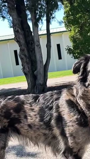 TikTok video thumbnail by slowmos.remi