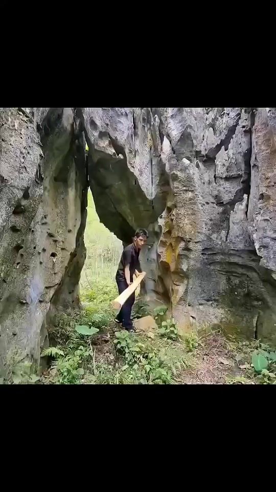 TikTok video thumbnail by freedomflims