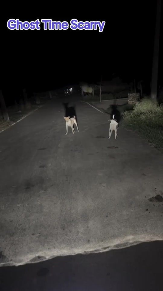 TikTok video thumbnail by ghostmeeting.22