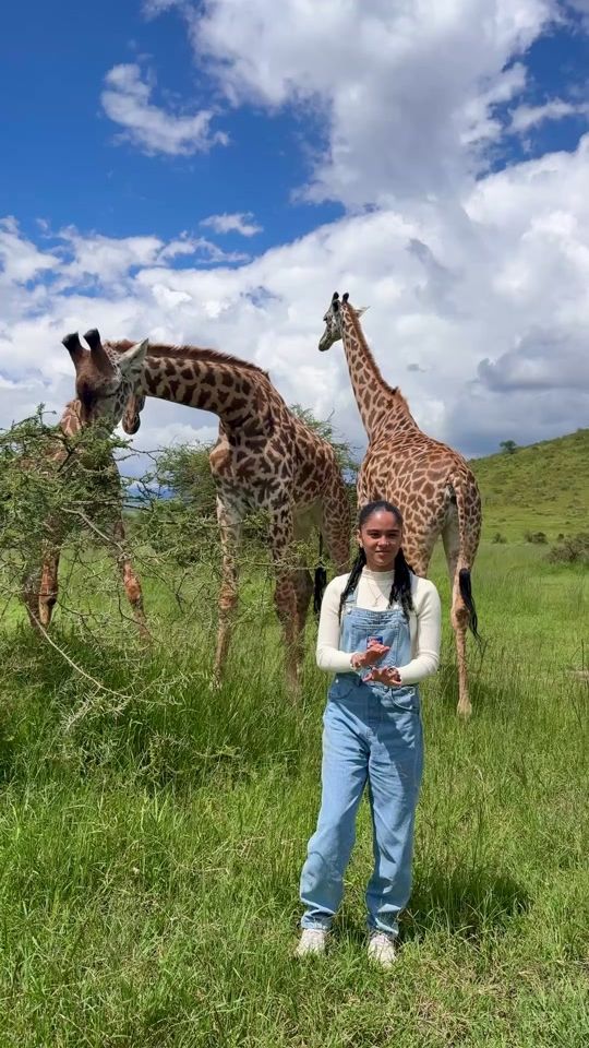 TikTok video thumbnail by servalwildlife