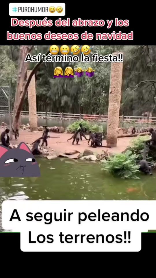 TikTok video thumbnail by aquarius536819