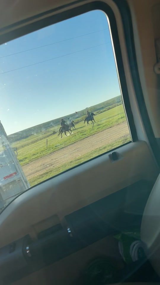 TikTok video thumbnail by sagelaska
