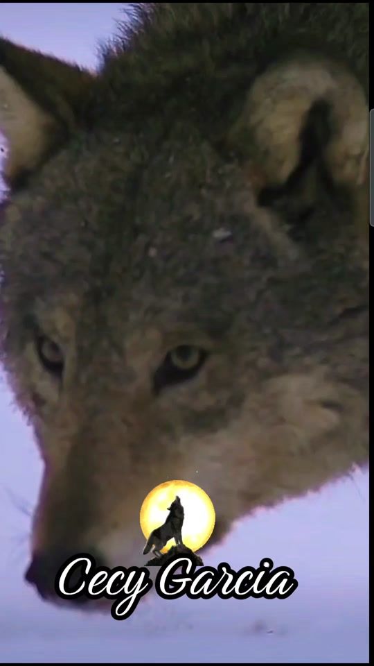 TikTok video thumbnail by cecy_.garcia