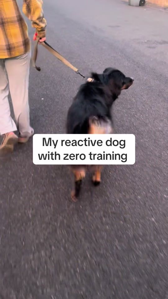 TikTok video thumbnail by duffandstuff3
