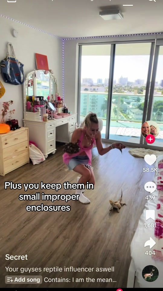 TikTok video thumbnail by caitlyns.exotics
