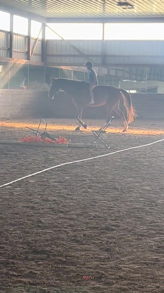 TikTok video thumbnail by eglequestrian