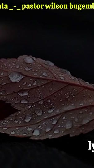 TikTok video thumbnail by dream.code.lyrics