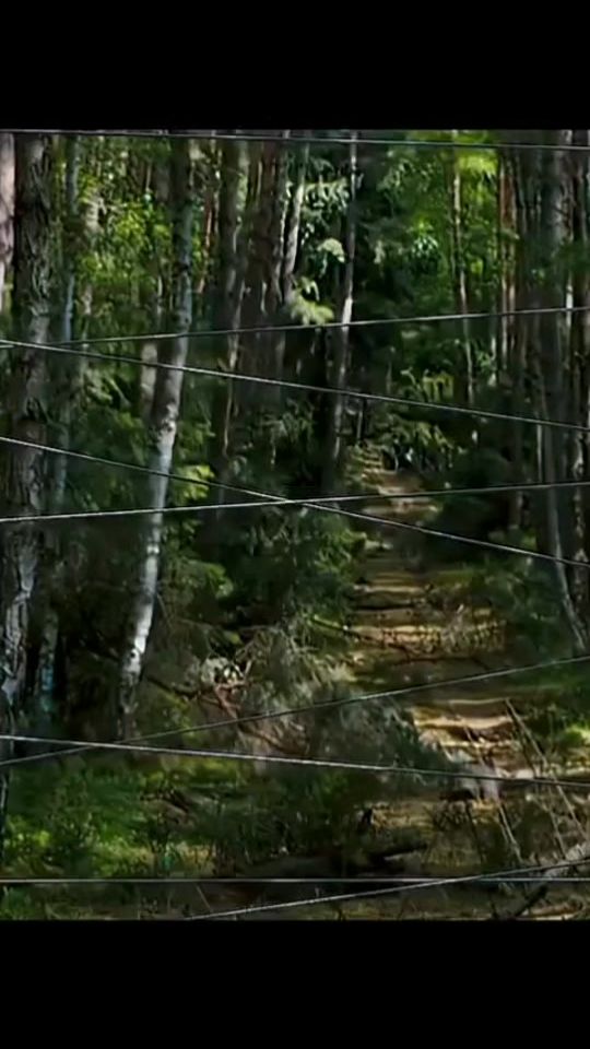 TikTok video thumbnail by 4knetflix3