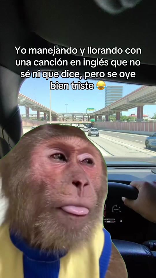 TikTok video thumbnail by miguelmendoza_vlog