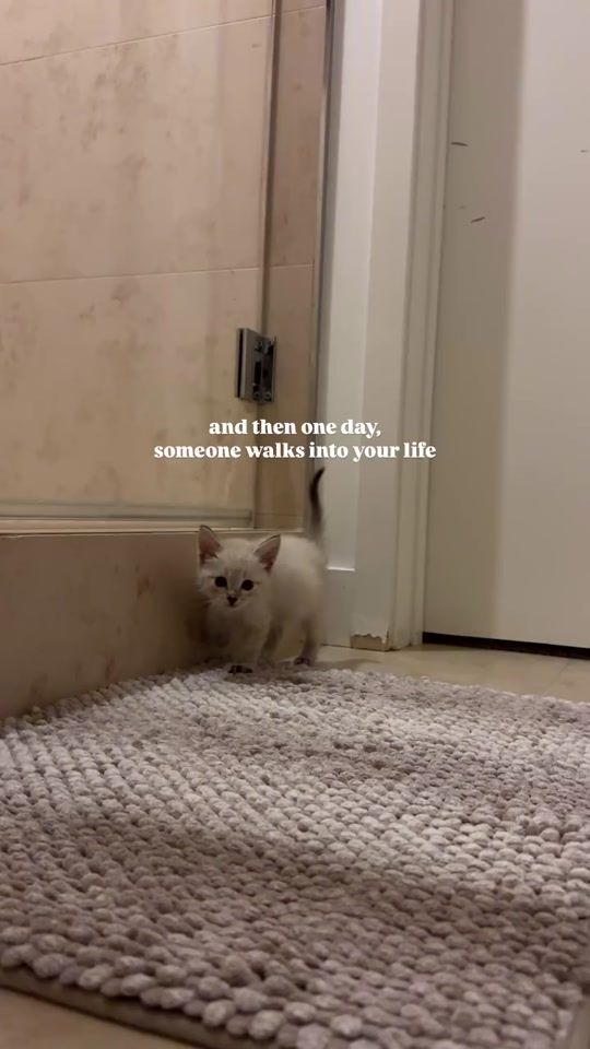 TikTok video thumbnail by itsmariahmeow