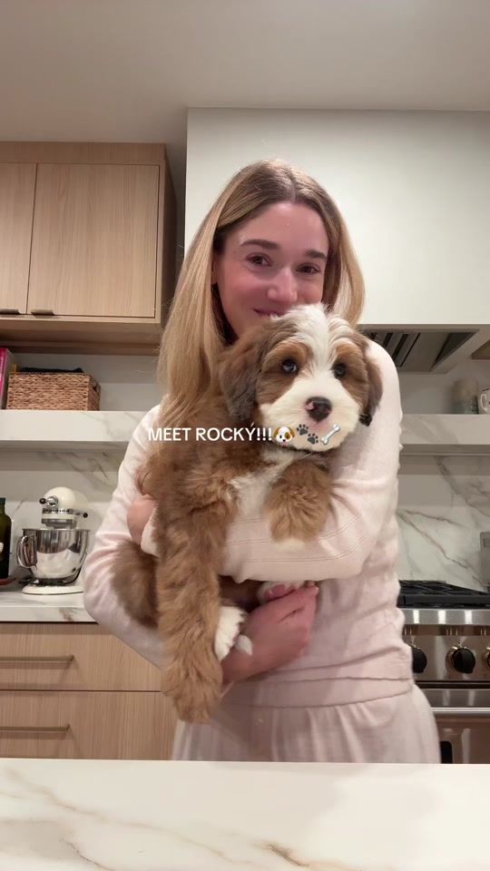TikTok video thumbnail by thedailyschvitz