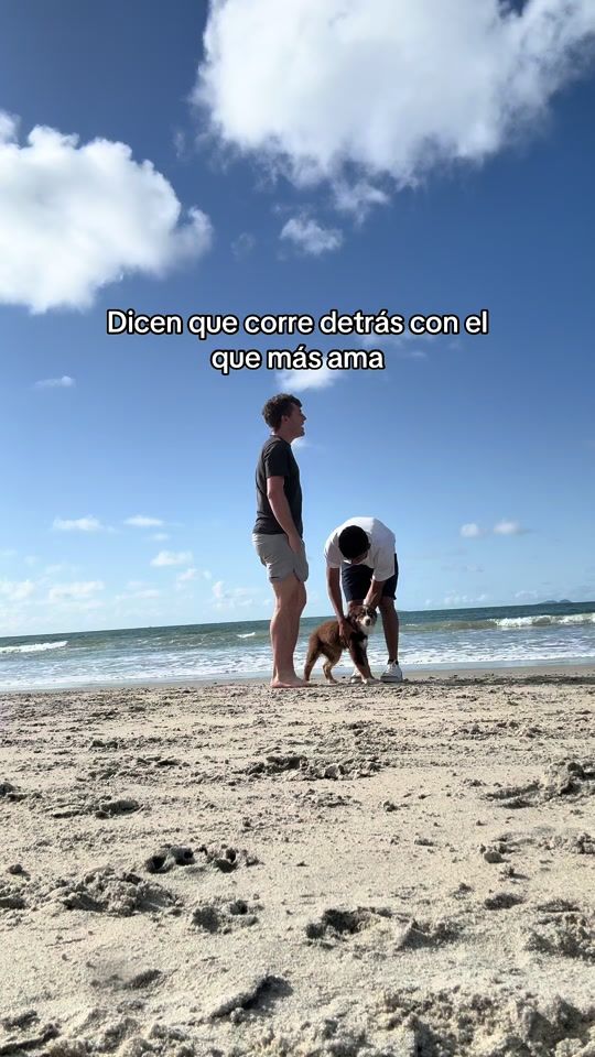 TikTok video thumbnail by elluis304