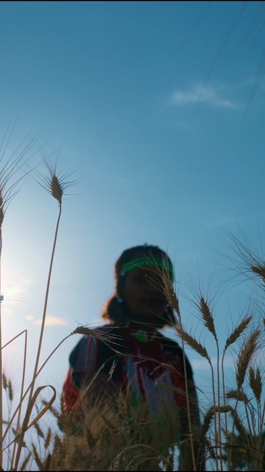 TikTok video thumbnail by birra.gemedi