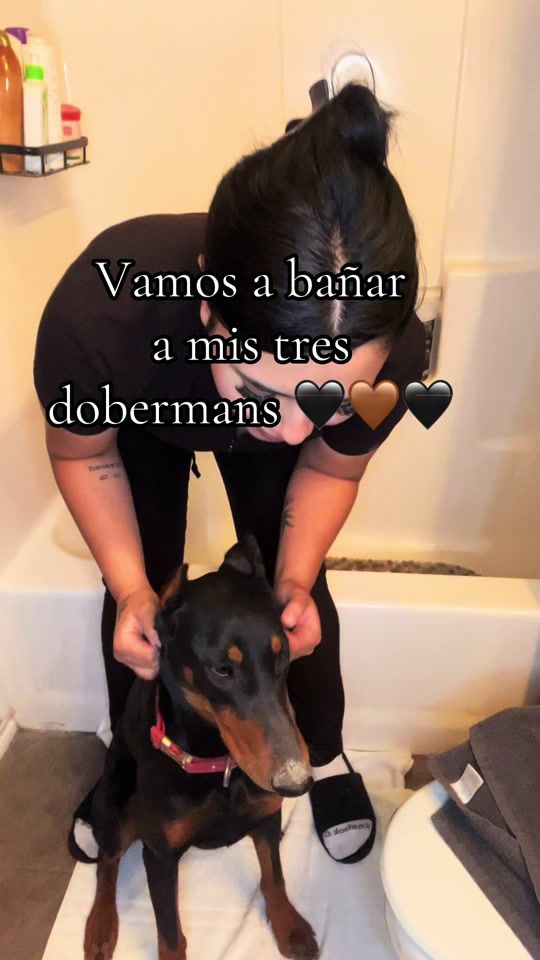 TikTok video thumbnail by nayragvilla