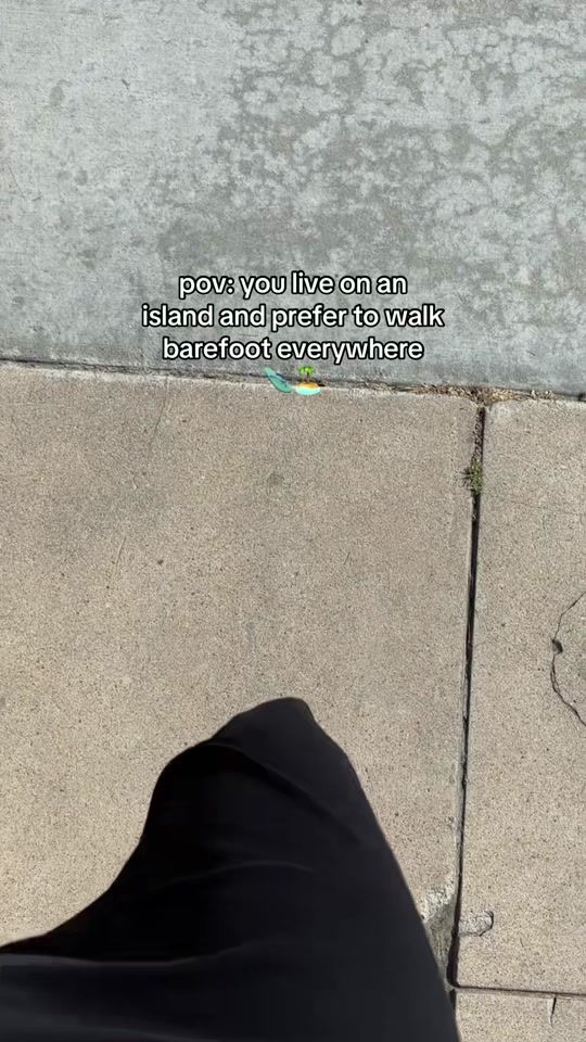 TikTok video thumbnail by malliekoczon