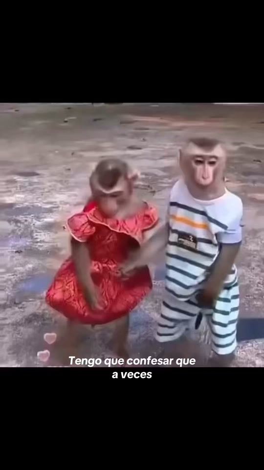 TikTok video thumbnail by echele_ganas