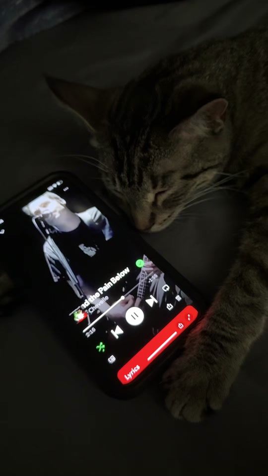 TikTok video thumbnail by e.chofade