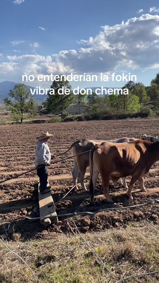 TikTok video thumbnail by isacfierros