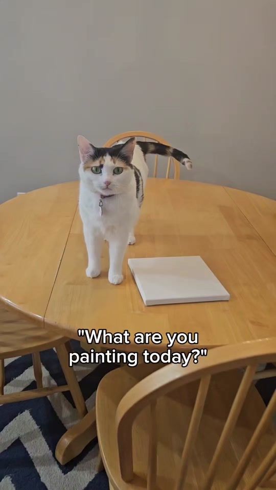 TikTok video thumbnail by audreycatspeaks