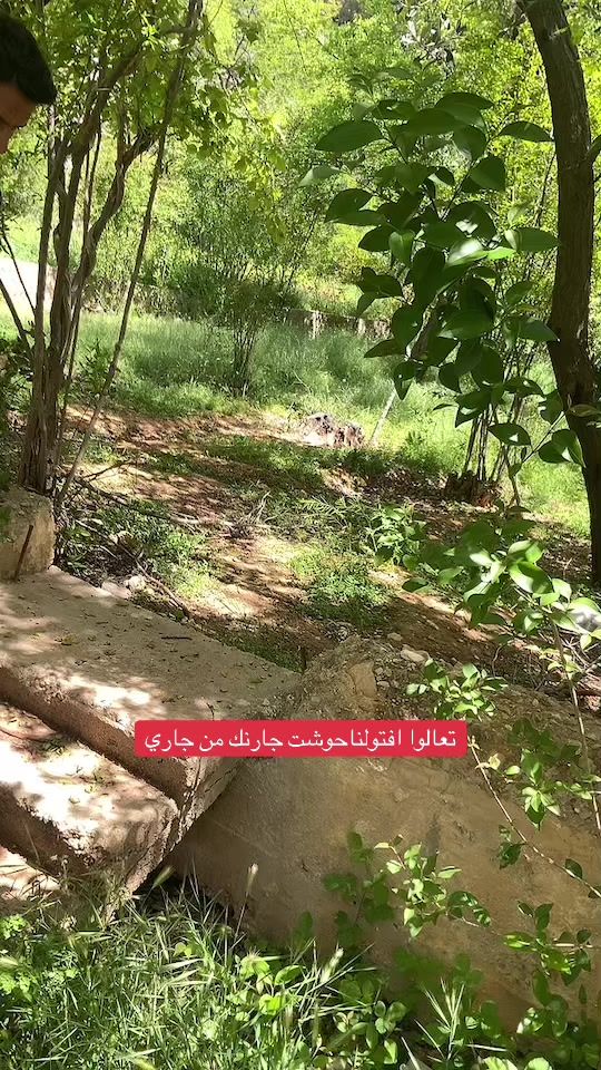 TikTok video thumbnail by imada.sliman