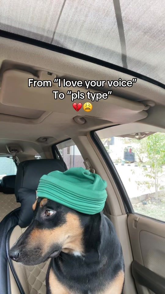 TikTok video thumbnail by zeldadiaries