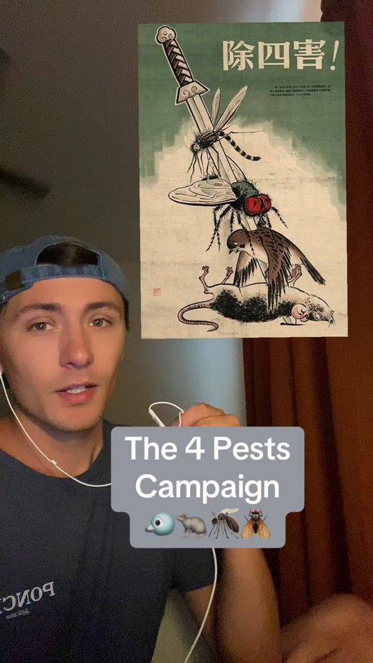 TikTok video thumbnail by goobris