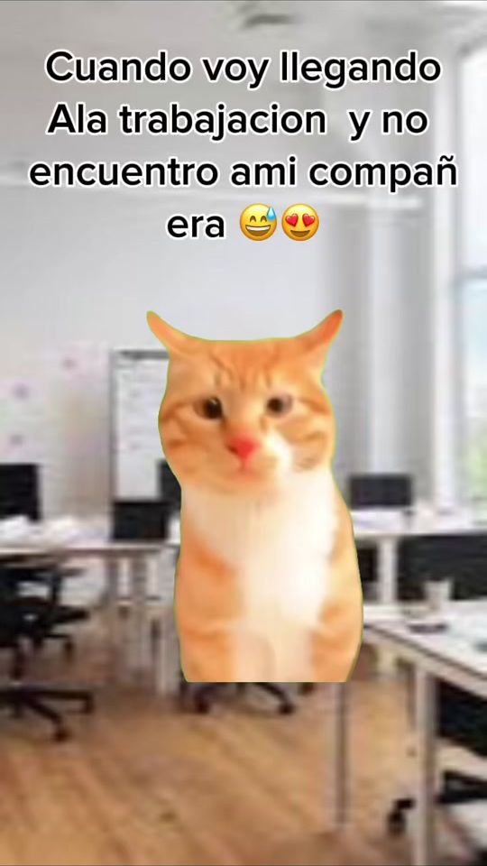 TikTok video thumbnail by estefanmiranda123
