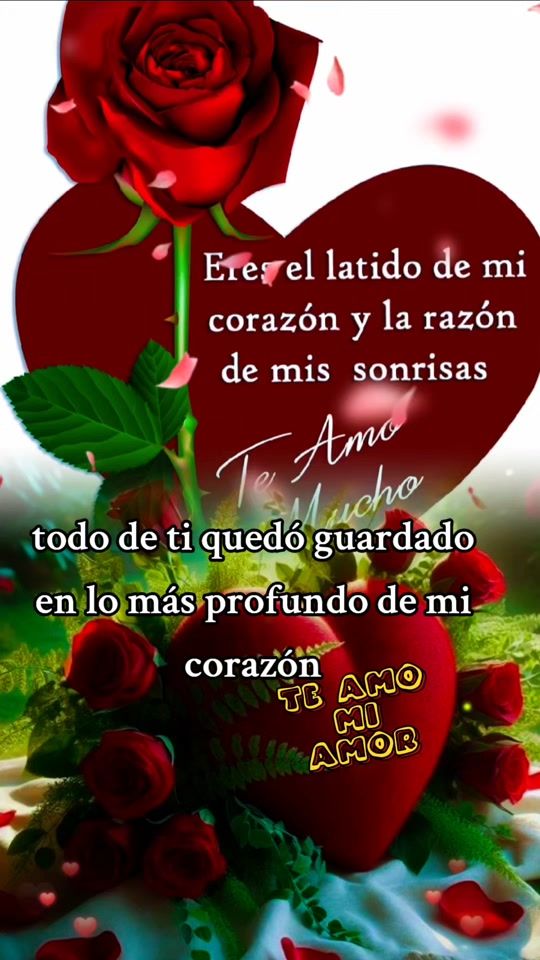TikTok video thumbnail by floriberto.sabines
