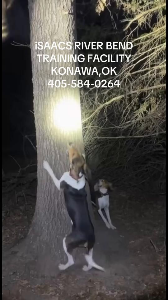 TikTok video thumbnail by codyhiggins34