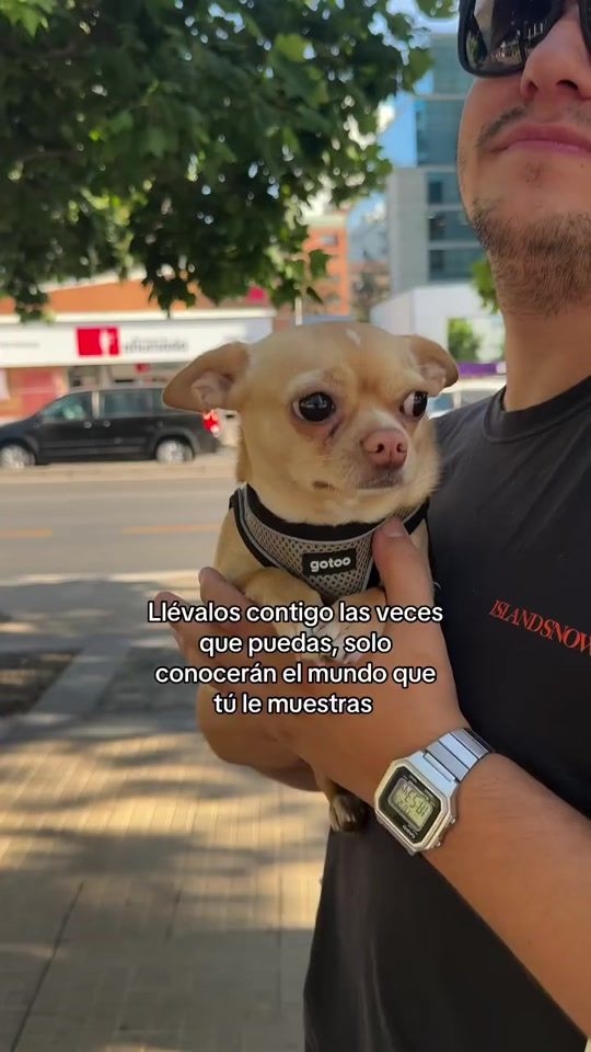 TikTok video thumbnail by chiwawa.d