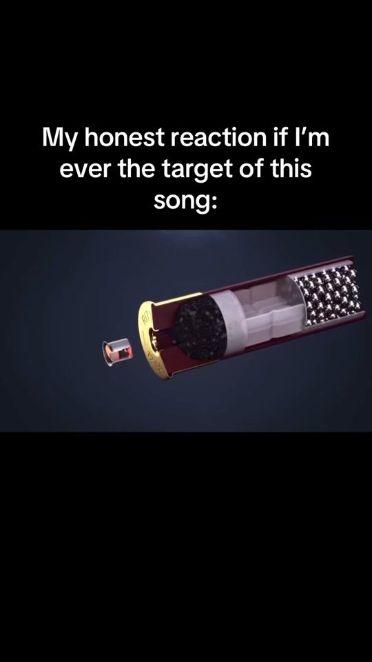 TikTok video thumbnail by landeng2006