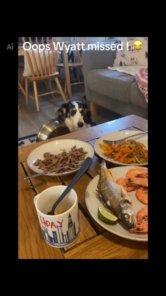 TikTok video thumbnail by fancnanandfam