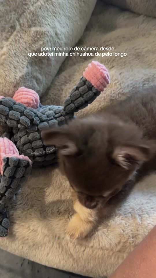 TikTok video thumbnail by spookygaby