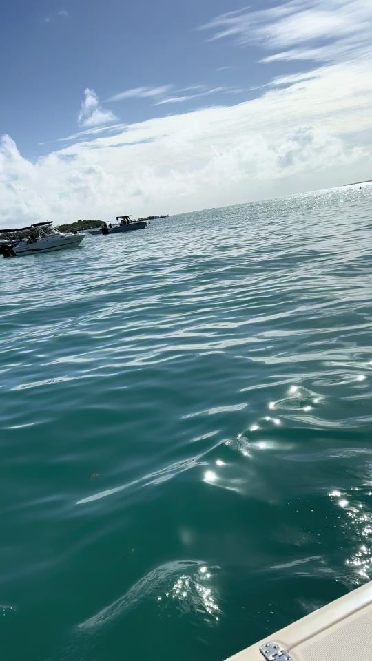 TikTok video thumbnail by ashnikk28