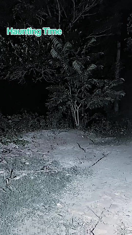 TikTok video thumbnail by ghostmeeting.22