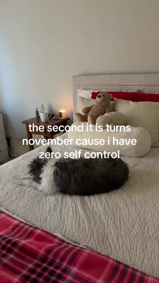 TikTok video thumbnail by user1782838373789