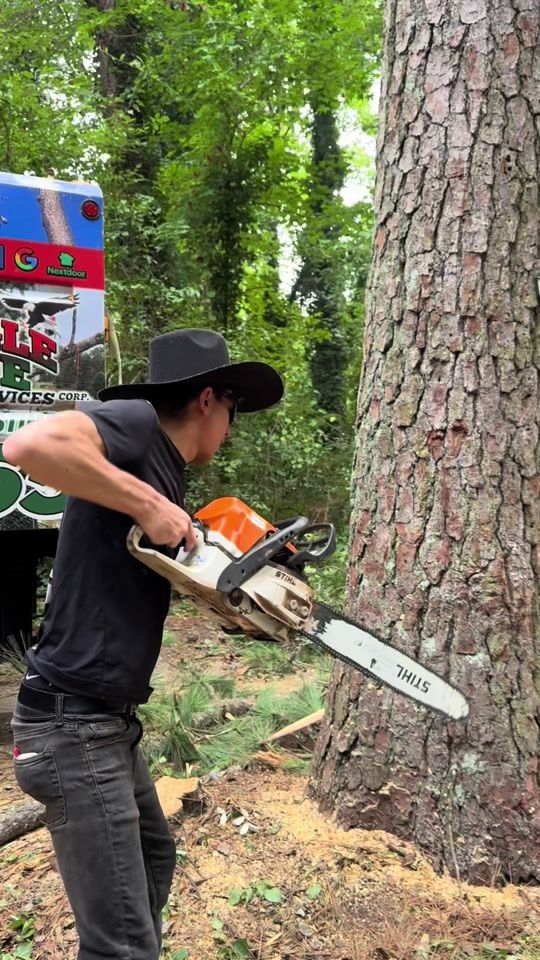 TikTok video thumbnail by cowboy_tree_service