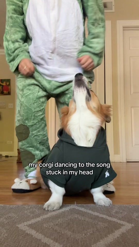 TikTok video thumbnail by i.am.nogo