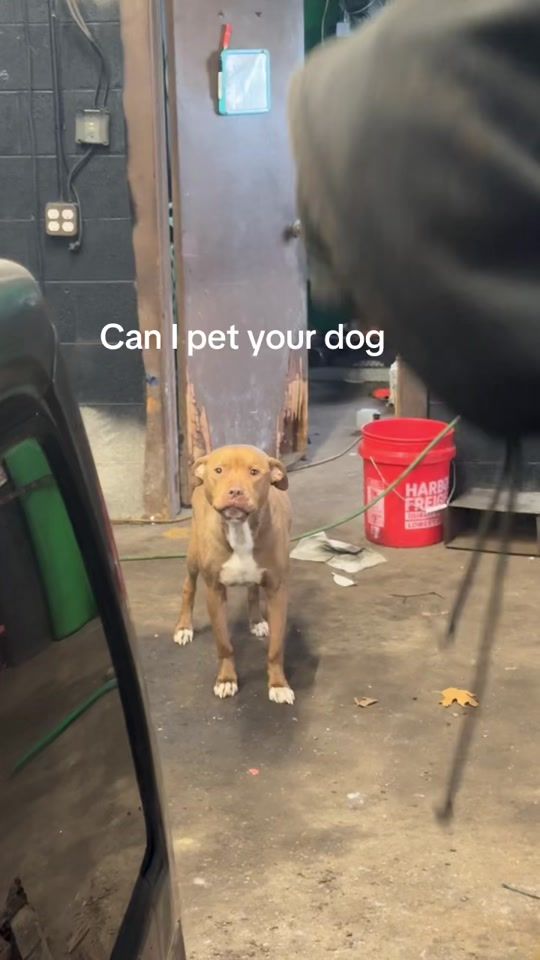 TikTok video thumbnail by ryanlevick