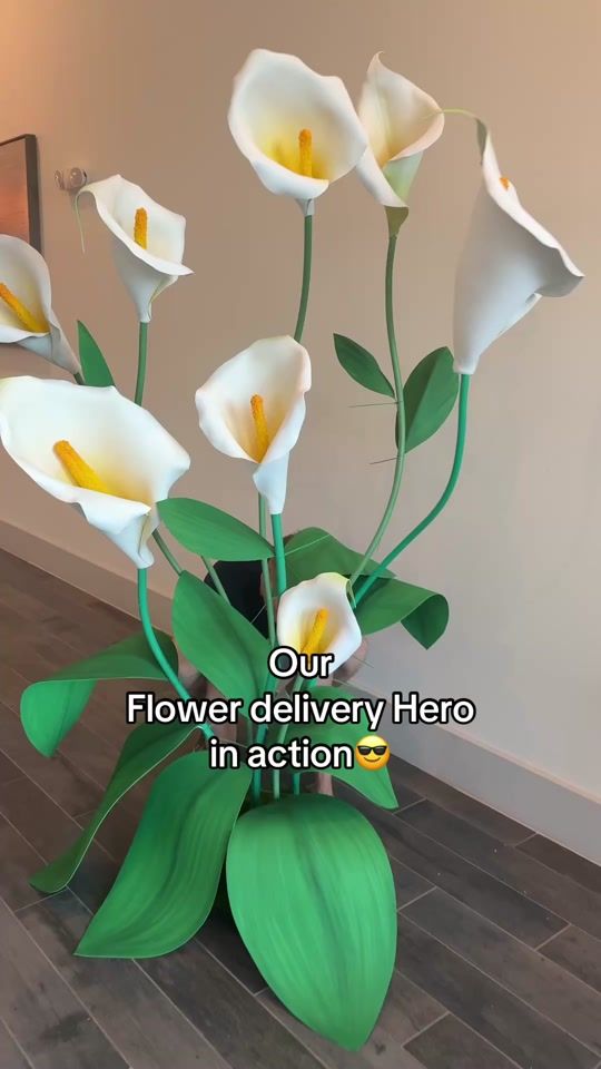 TikTok video thumbnail by giantflowers_usa