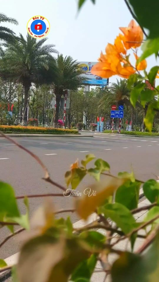 TikTok video thumbnail by nautv77