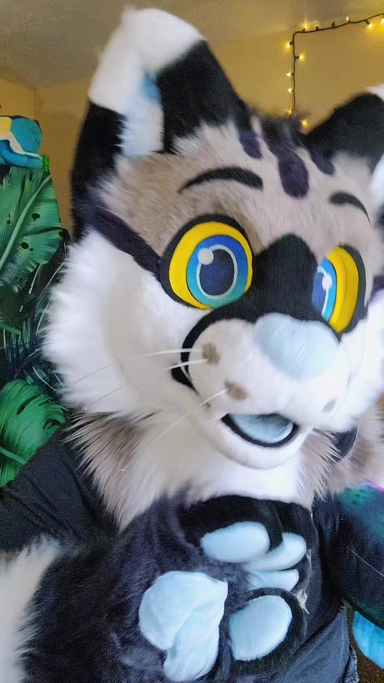 TikTok video thumbnail by tigerparadise_studios