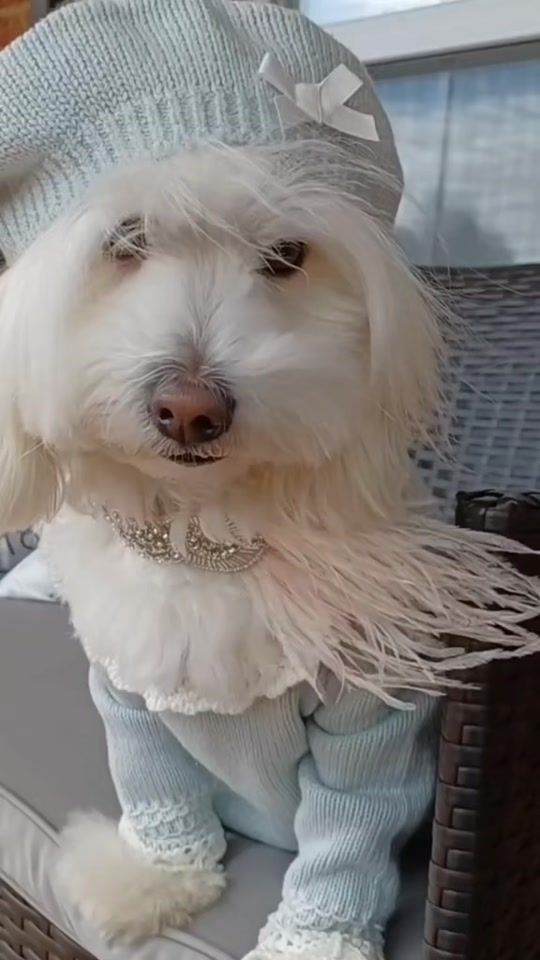 TikTok video thumbnail by addyyybuggg