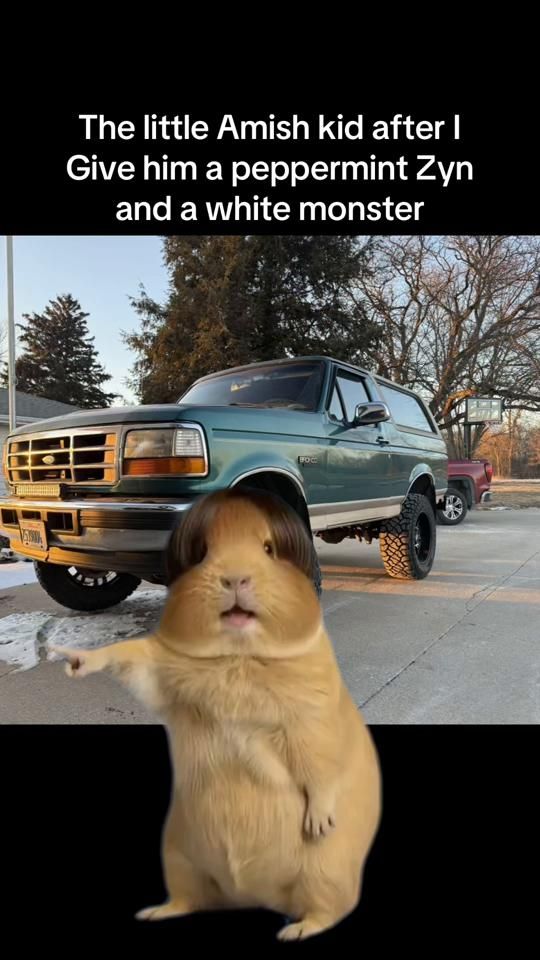 TikTok video thumbnail by theplowman